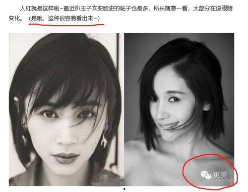 明星黑料最新,明星黑料曝光，真相背后引人深思-第1张图片-丝瓜视频成人