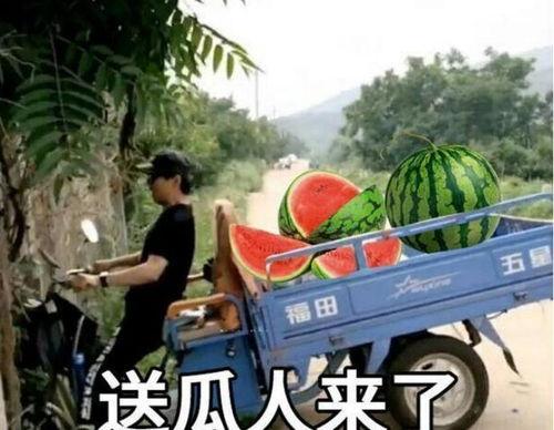 最近大瓜事件,揭秘明星隐私风波背后的真相-第1张图片-丝瓜视频成人