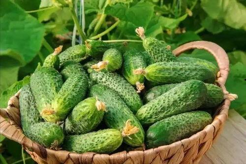 最近大瓜事件,揭秘明星隐私风波背后的真相-第2张图片-丝瓜视频成人