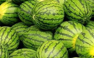 吃瓜网官网免费观看 吃瓜网官网,免费观看，畅享娱乐盛宴-第2张图片-丝瓜视频成人