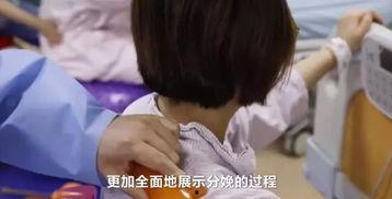 成人遇见危险视频大全集,成人应对危险情境实战解析-第3张图片-丝瓜视频成人