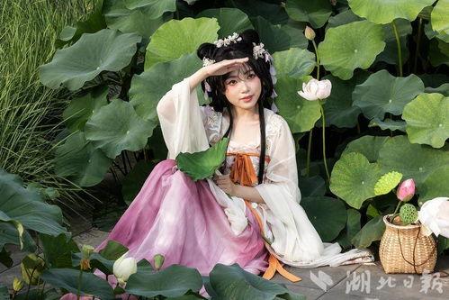 荷花写真成人汉服视频,荷花写真中的古典美-第3张图片-丝瓜视频成人