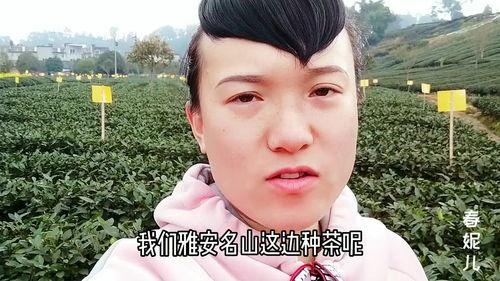 成人黄性色视频在线观看-第3张图片-丝瓜视频成人