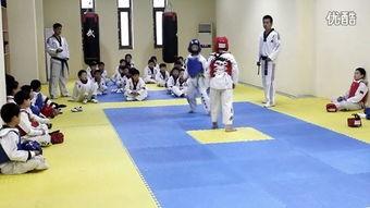 成人跆拳道先锋视频,揭秘成人跆拳道训练的激情与技巧-第2张图片-丝瓜视频成人