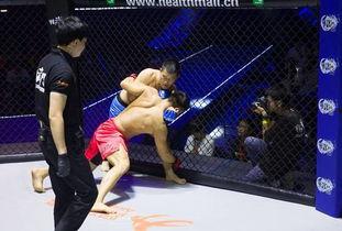 顽石搏击成人实战教程视频,揭秘高效实战技巧与策略-第2张图片-丝瓜视频成人