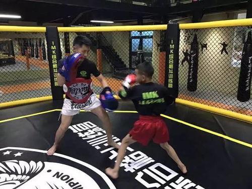 顽石搏击成人实战教程视频,揭秘高效实战技巧与策略-第3张图片-丝瓜视频成人