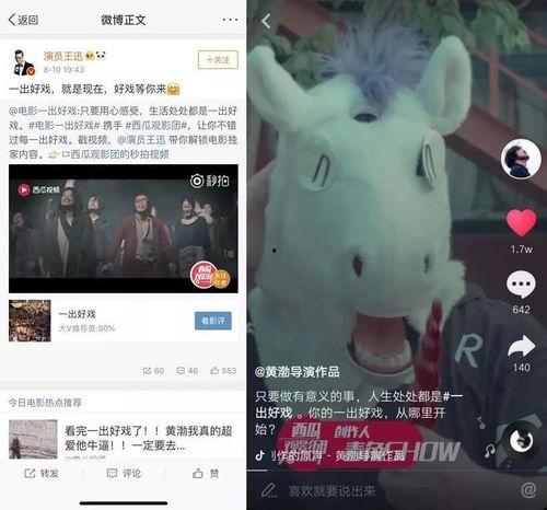 西瓜视频成人片A,内容解析与行业探讨-第1张图片-丝瓜视频成人