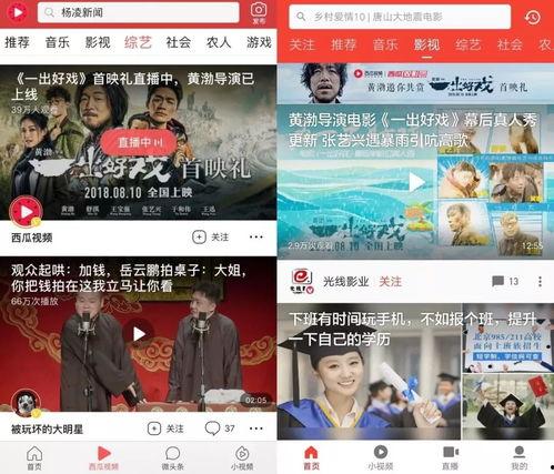 西瓜视频成人片A,内容解析与行业探讨-第2张图片-丝瓜视频成人