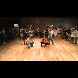 成人舞蹈共几集视频教学,轻松入门，掌握舞步的N集秘籍-第1张图片-丝瓜视频成人