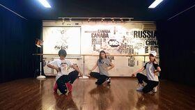 成人舞蹈共几集视频教学,轻松入门，掌握舞步的N集秘籍-第2张图片-丝瓜视频成人