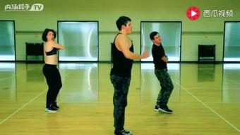 成人舞蹈共几集视频教学,轻松入门，掌握舞步的N集秘籍-第3张图片-丝瓜视频成人