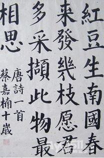 成人之美毛笔写法视频,成人之美毛笔书法艺术精粹解析-第1张图片-丝瓜视频成人