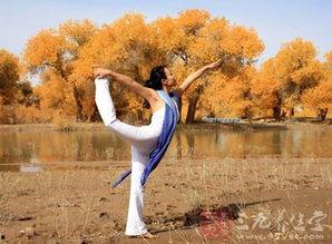 成人瑜伽高难度视频-第2张图片-丝瓜视频成人