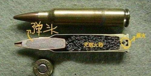 成人钢制鱼枪怎么用视频,视频详解操作步骤-第2张图片-丝瓜视频成人