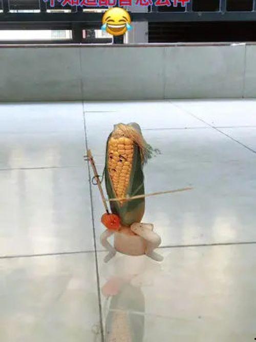 大号成人鸡毛毽子视频-第3张图片-丝瓜视频成人