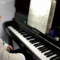 成人钢琴四级考级视频,技巧与曲目深度解读-第3张图片-丝瓜视频成人