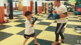 散打成人拳套教学视频,掌握实战技巧,提升搏击能力-第2张图片-丝瓜视频成人 散打成人拳套教学视频,掌握实战技巧,提升搏击能力-第2张图片-丝瓜视频成人