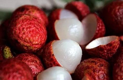 荔枝视频成人AAAA,揭秘热门内容背后的精彩故事-第2张图片-丝瓜视频成人