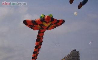 奇形怪状成人风筝视频大全,成人风筝视频大全奇形怪状大赏-第1张图片-丝瓜视频成人