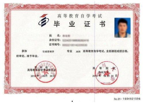 成人自考本科介绍视频,轻松提升学历的绿色通道-第2张图片-丝瓜视频成人