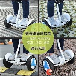 成人滑板扭扭车高手视频-第2张图片-丝瓜视频成人
