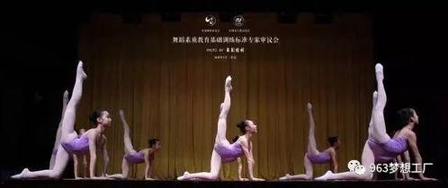 未来海岸成人舞蹈视频-第1张图片-丝瓜视频成人