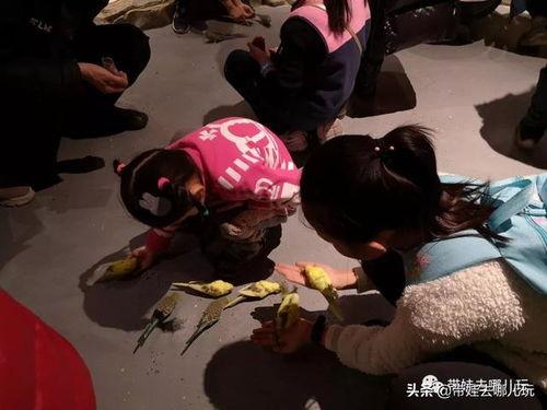 成人玩耍室内视频大全-第3张图片-丝瓜视频成人
