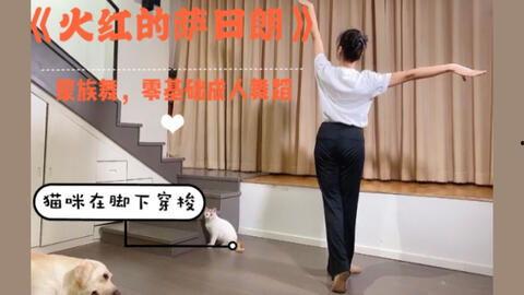成人简单的手语操视频大全,成人手语操视频大全精选-第2张图片-丝瓜视频成人