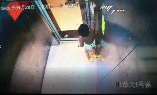 成人磕墙怎么处理视频,成人磕墙后的急救指南-第2张图片-丝瓜视频成人