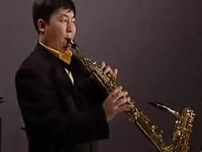 中提琴成人独奏视频,成人演奏者的音乐之旅-第3张图片-丝瓜视频成人